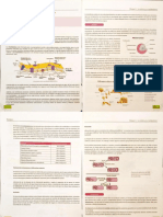 BIOLOGIA 12. - Lectura Organelos