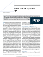 The Tropical Forest Carbon Cycle and Climate Change