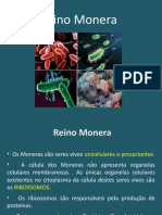 Aula 5 - Bactérias e Bacterioses