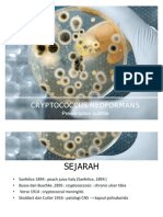 Cryptococcus Neoformans