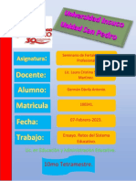 Ensayo PDF