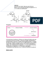 Bioquímica 2 Prova