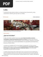 Lobo (Animal) - Información, Comportamiento, Hábitat, Características