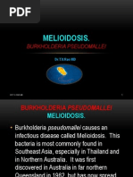 Melioidosis.: Burkholderia Pseudomallei