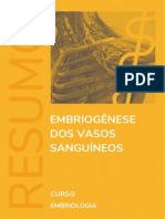 Embriogenese Dos Vasos Sanguineos