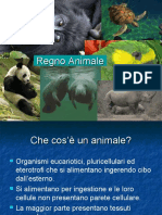 Gli Animali