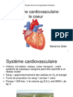 2016 Systeme Cardiovasculaire Le Coeur