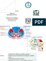 Rehabilitacion Neurologica