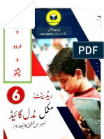 DrawingUrdu and Pashto 6th Class