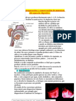 Muestras Del Aparato Digestivo