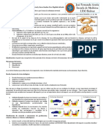 Traumatismo de Columna Cervical y Dorso Lumbar