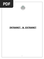 Intranet & Extranet