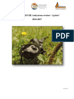 INFORME Ambystoma