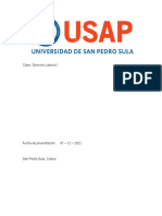 Servicio Domestico en Honduras Esquema General