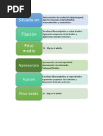 Documento, Gráficos de Diapositivas