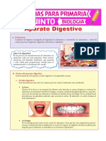 El Aparato Digestivo para Quinto de Primaria