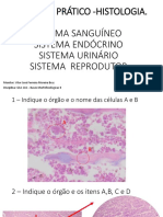 Simulado Prático - Histologia P5