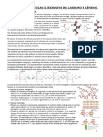 Biología - Química UNED, Tema3