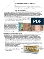 Biología - Química UNED, Tema5