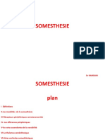 Physio SOMESTHESIE