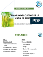 Curso Manejo Del Cultivo de Caña de Azucar