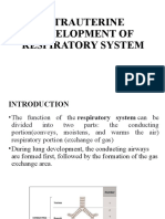 Intrauterine Development of Respiratory System