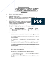 TDR El Servicio de Análisis, Realización Y Seguimiento de Informes Técnicos