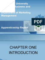 Apprenticeship Report