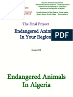 Endangered Animals