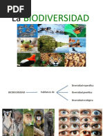 Biodiversidad