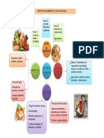 Mapa Mental de Alimentos 2 FINAL