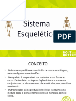 Anatomia Sistema Esqueletico Muscular