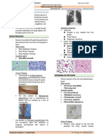 4 Subcutaneous-Mycoses