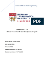 LAM 24 - Natural Convection Heat Transfer - Informal Report - Benita - COMMENTED