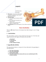 The Skeletal System