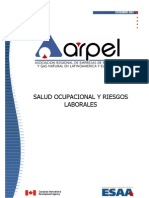 Guia No. 4 Salud Ocupacional y Riesgos Laborales