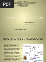 Hematopoyesis Iii - Maria - Dlucas - de Microsoft Powerpoint