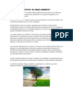 Texto Argumentativo El Medio Ambiente