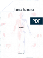 Anatomia Humana - GRA