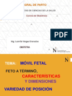 CLASE3 AIP-móvil Fetal