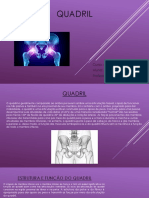 Quadril - Seminario