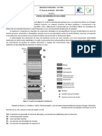 Teste-5 11o 19-20 V1 11B