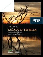 Bitacora Banado 20la Estrella