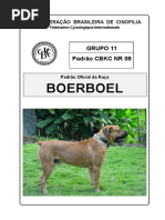 G11 Boerboel