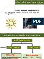 BG10 - Nutrição Autotrófica