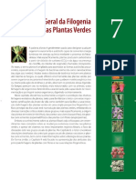 Cap 7 - Evol Plantas - Sistemática Vegetal Udd Et Al (Compressed)