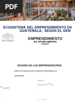 Ecosistema Dle Emprendimiento en Guatemala, Segunda Parte