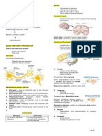 Neurologic System - Lec 1