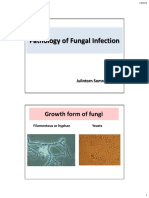 Fungal Infection56