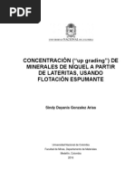 CONCENTRACIÓN ("Up Grading") DE Minerales de Níquel A Partir de Lateritas, Usando Flotación Espumante